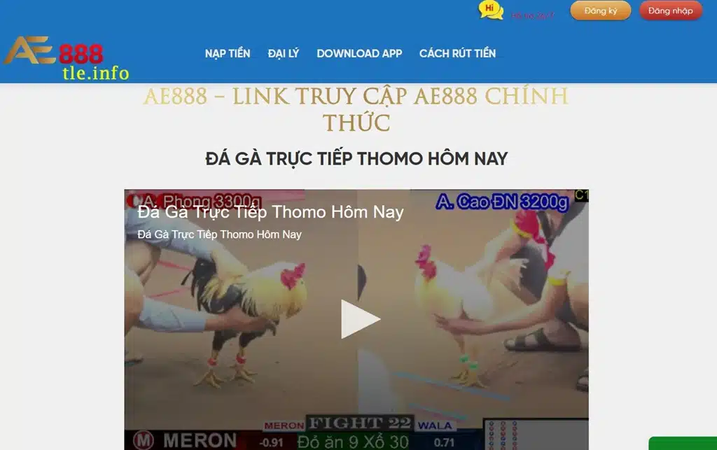 giao diện ael1.com